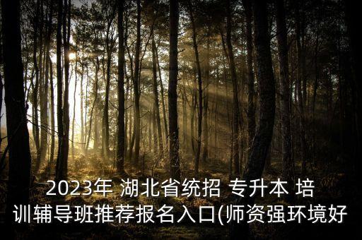2023年 湖北省統(tǒng)招 專升本 培訓(xùn)輔導(dǎo)班推薦報名入口(師資強(qiáng)環(huán)境好