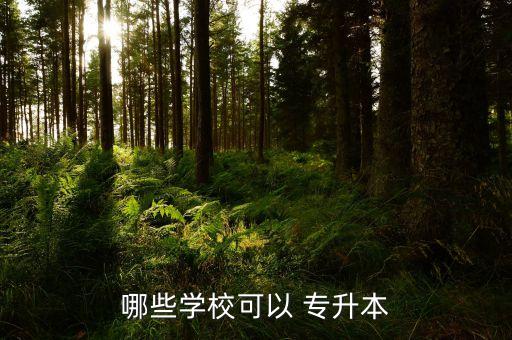 哪些學?？梢?專升本