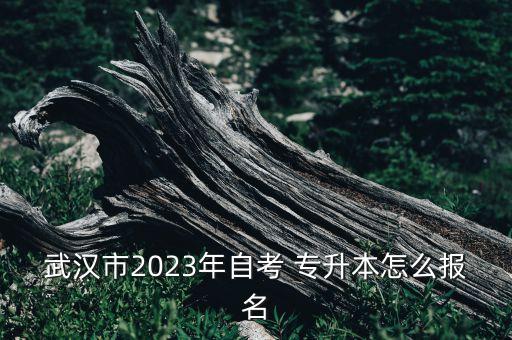 武職專升本該怎么報(bào),武職能不能專升本