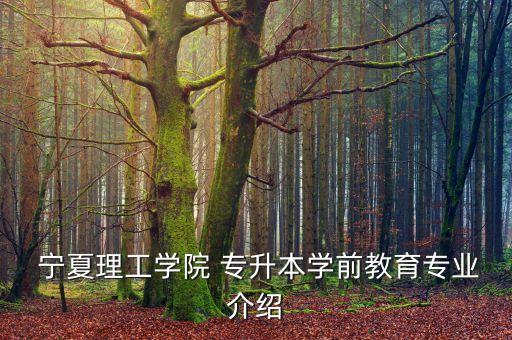  寧夏理工學(xué)院 專升本學(xué)前教育專業(yè)介紹