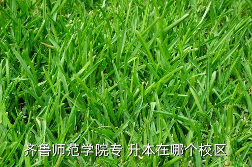 齊魯師范學院專 升本在哪個校區(qū)