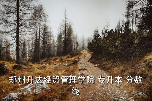 鄭州升達(dá)經(jīng)貿(mào)管理學(xué)院 專(zhuān)升本 分?jǐn)?shù)線(xiàn)