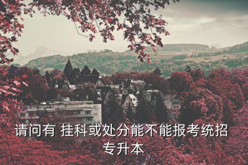 請問有 掛科或處分能不能報考統(tǒng)招 專升本