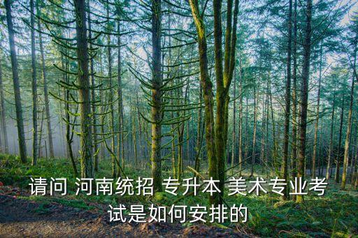 請問 河南統(tǒng)招 專升本 美術專業(yè)考試是如何安排的