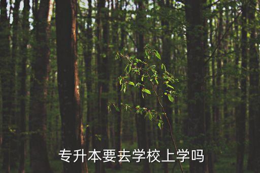  專升本要去學(xué)校上學(xué)嗎