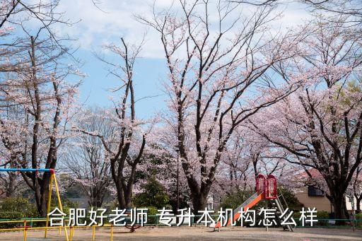  合肥好老師 專升本機(jī)構(gòu)怎么樣