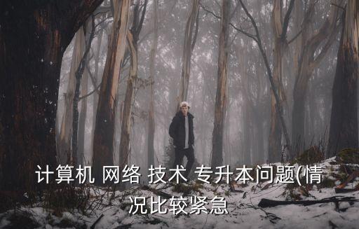計算機 網(wǎng)絡(luò) 技術(shù) 專升本問題(情況比較緊急