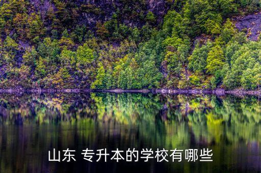 齊魯大學(xué)專(zhuān)升本,齊魯工業(yè)大學(xué)專(zhuān)升本