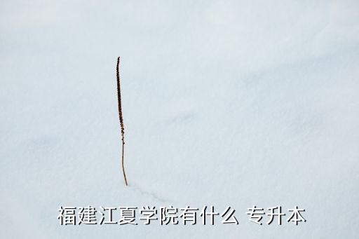  福建江夏學(xué)院有什么 專升本