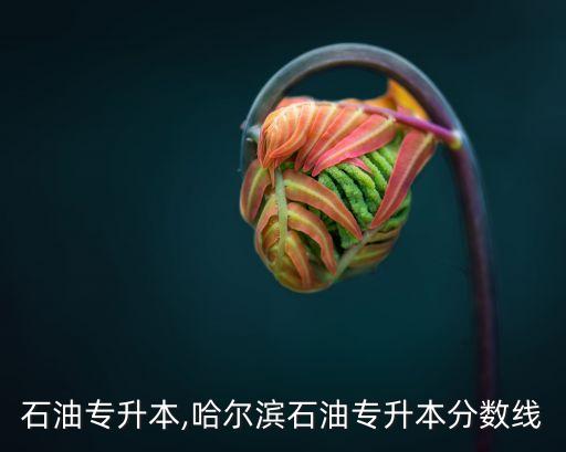 西安石油專升本,哈爾濱石油專升本分數(shù)線