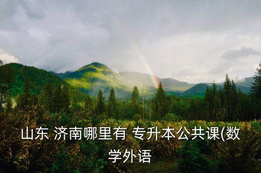 山東 濟(jì)南哪里有 專升本公共課(數(shù)學(xué)外語(yǔ)