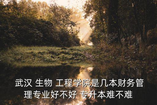  武漢 生物 工程學(xué)院是幾本財(cái)務(wù)管理專業(yè)好不好 專升本難不難