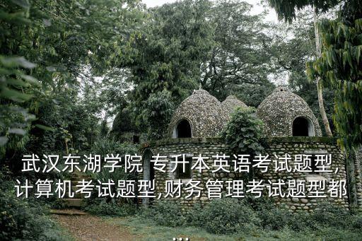 湖北省專升本的大學2018