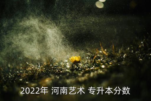 2022年 河南藝術(shù) 專(zhuān)升本分?jǐn)?shù)