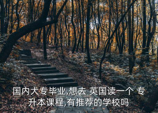 國內大專畢業(yè),想去 英國讀一個 專升本課程,有推薦的學校嗎