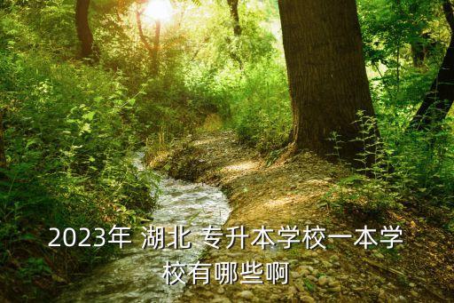 湖北師范專升本院校,河南省師范類(lèi)專升本院校有哪些