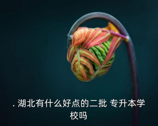 . 湖北有什么好點的二批 專升本學校嗎