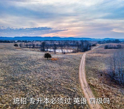 統(tǒng)招 專(zhuān)升本必須過(guò) 英語(yǔ) 四級(jí)嗎