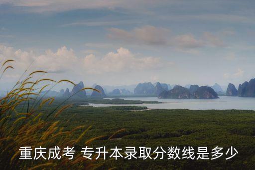  重慶成考 專升本錄取分數(shù)線是多少
