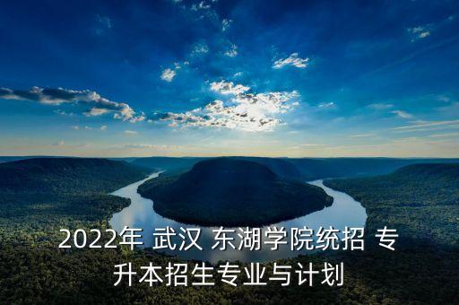 2022年 武漢 東湖學(xué)院統(tǒng)招 專升本招生專業(yè)與計劃
