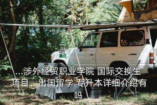...涉外經(jīng)貿(mào)職業(yè)學(xué)院 國際交換生 項(xiàng)目、出國留學(xué) 專升本詳細(xì)介紹有嗎