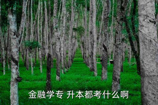金融學專 升本都考什么啊