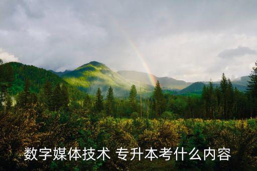 數(shù)字媒體技術(shù) 專(zhuān)升本考什么內(nèi)容