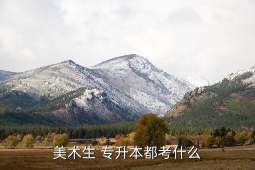 北服專升本素描題目,武漢東湖學(xué)院專升本素描題目