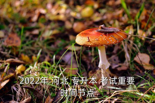 2022年 河北 專升本 考試重要時間節(jié)點(diǎn)