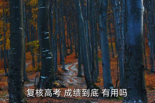 復核高考 成績到底 有用嗎