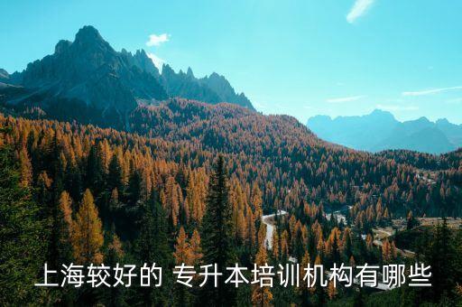  上海較好的 專升本培訓(xùn)機(jī)構(gòu)有哪些