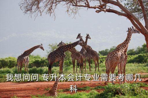 我想問(wèn)問(wèn) 專升本會(huì)計(jì)專業(yè)需要考哪幾科