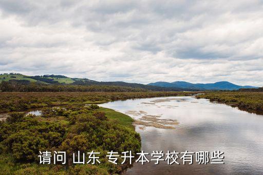 請問 山東 專升本學(xué)校有哪些