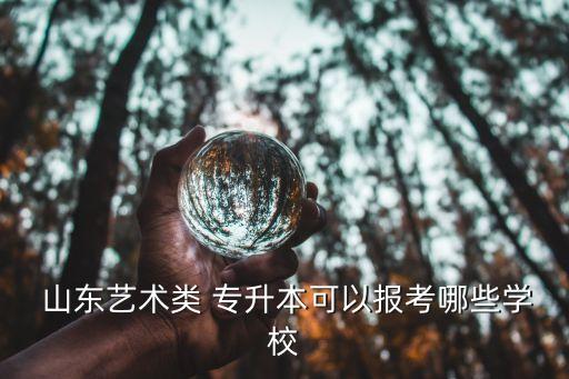  山東藝術(shù)類 專升本可以報考哪些學(xué)校