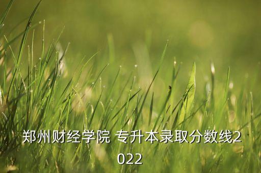 鄭州會(huì)計(jì)專升本學(xué)校有哪些,湖北會(huì)計(jì)專升本可以報(bào)什么學(xué)校
