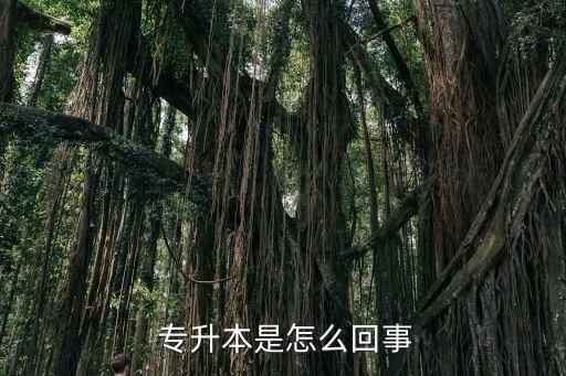 2015年北京專升本報(bào)名時(shí)間