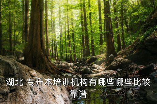 湖北 專(zhuān)升本培訓(xùn)機(jī)構(gòu)有哪些哪些比較靠譜