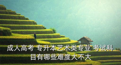 成人高考 專升本藝術(shù)類專業(yè) 考試科目有哪些難度大不大