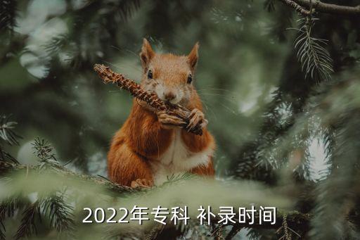 2022年專科 補(bǔ)錄時(shí)間