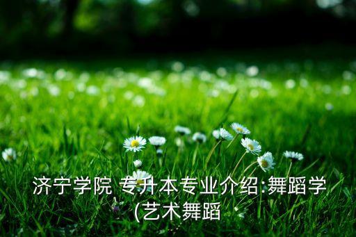  濟(jì)寧學(xué)院 專升本專業(yè)介紹:舞蹈學(xué)(藝術(shù)舞蹈