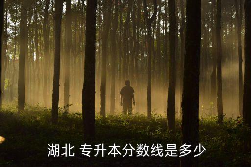 湖北第二師范學(xué)院專(zhuān)升本英語(yǔ)