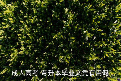 成人高考 專(zhuān)升本畢業(yè)文憑有用嗎