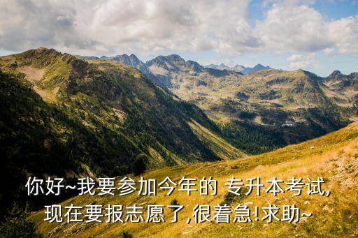 你好~我要參加今年的 專升本考試,現(xiàn)在要報志愿了,很著急!求助~
