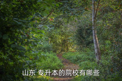 2018山東省護理專升本,山東省2018年專升本語文真題及答案及解析