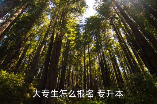 大專生怎么報(bào)名 專升本
