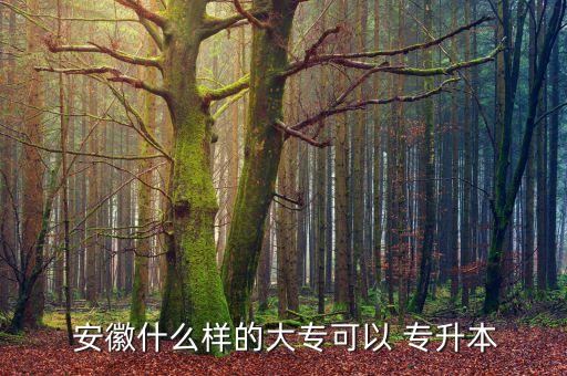 安徽專升本三本學校有哪些