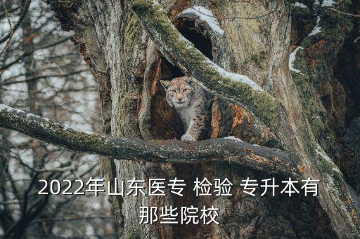 曲靖醫(yī)學(xué)檢驗專升本,醫(yī)學(xué)檢驗技術(shù)專升本可以考什么專業(yè)