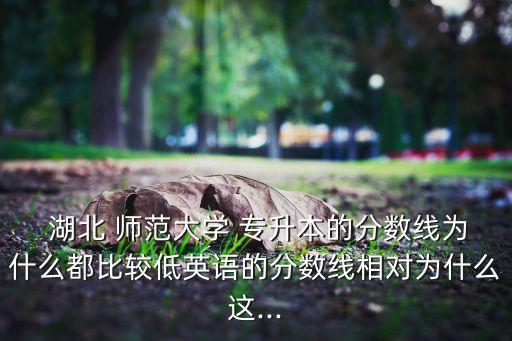  湖北 師范大學(xué) 專(zhuān)升本的分?jǐn)?shù)線(xiàn)為什么都比較低英語(yǔ)的分?jǐn)?shù)線(xiàn)相對(duì)為什么這...