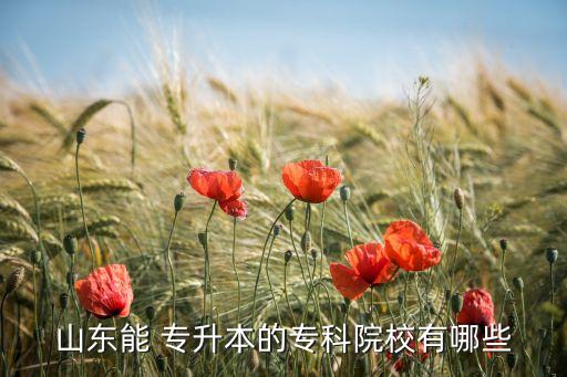 山東能 專(zhuān)升本的專(zhuān)科院校有哪些