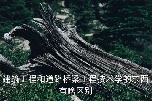 建筑工程和道路橋梁工程技術(shù)學的東西有啥區(qū)別